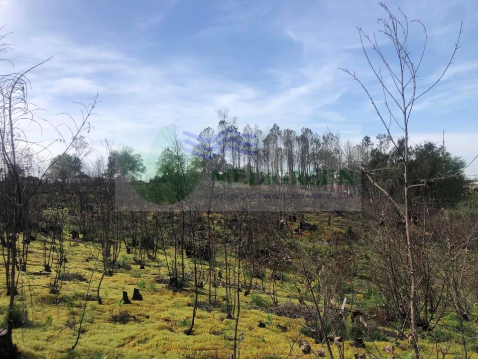 Terreno para Venda em Albergaria-A-Velha e Valmaior Foto 4