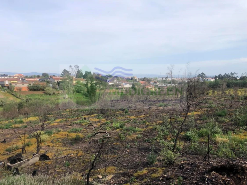 Terreno para Venda em Albergaria-A-Velha e Valmaior Foto 5