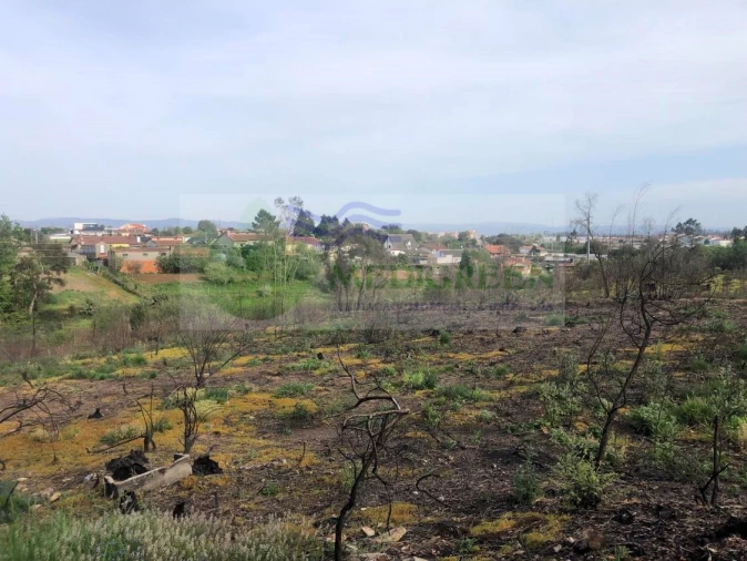 Terreno para Venda em Albergaria-A-Velha e Valmaior