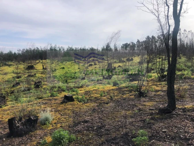 Terreno para Venda em Albergaria-A-Velha e Valmaior Foto 2