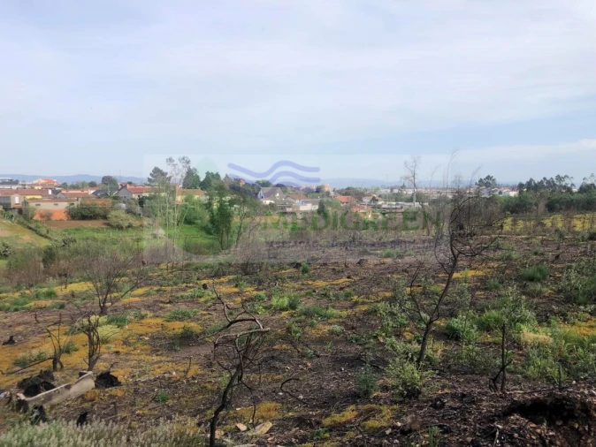 Terreno para Venda em Albergaria-A-Velha e Valmaior Foto 5