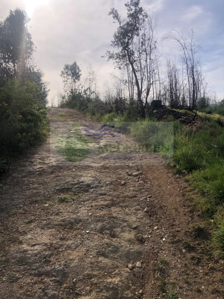 Terreno para Venda em Albergaria-A-Velha e Valmaior Foto 6