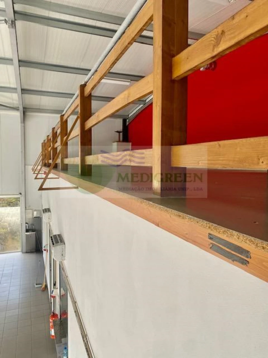 Armazém para Venda em Talhadas Foto 12