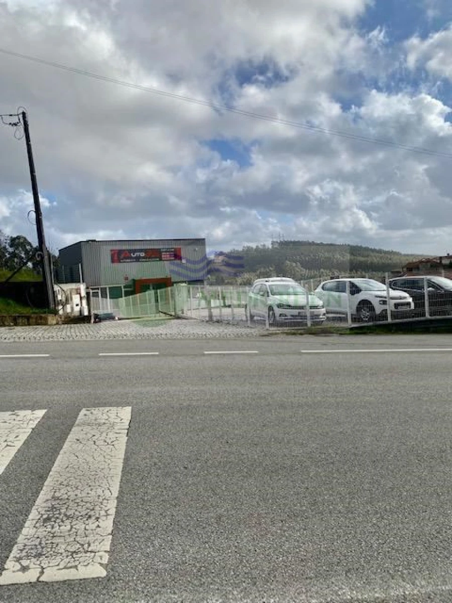 Armazém para Venda em Talhadas Foto 30