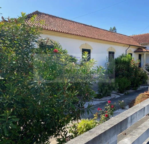 Moradia T4 para Venda em Pessegueiro do Vouga Foto 40