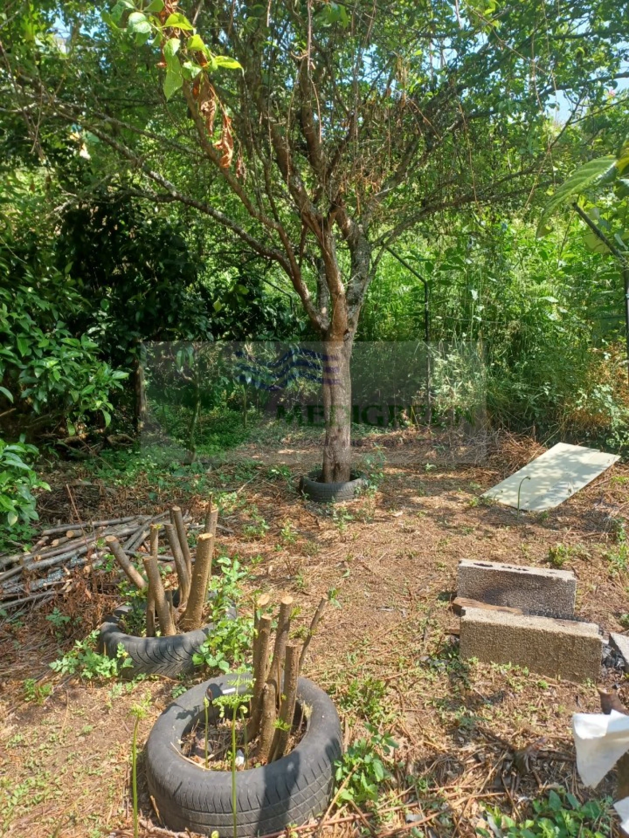 Moradia para Venda em Ribeiradio Foto 5