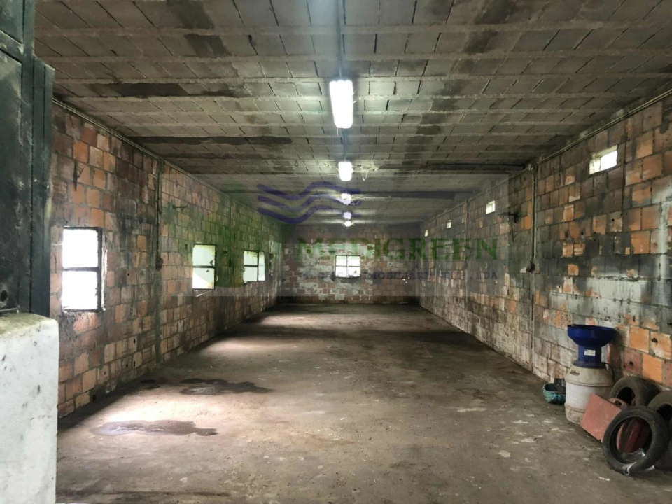 Armazém para Arrendamento em Silva Escura e Dornelas Foto 1