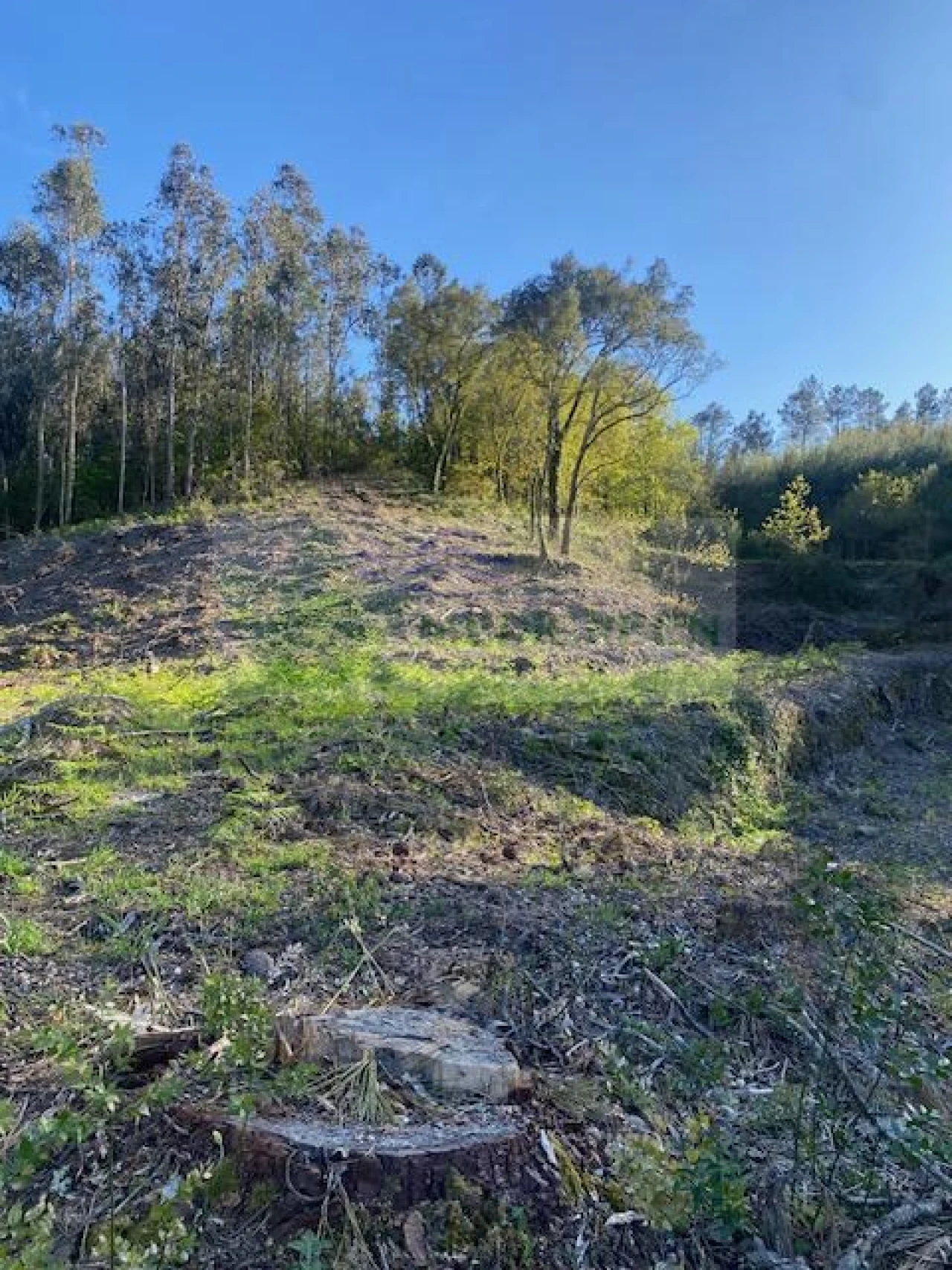 Terreno para Venda em Arcozelo das Maias Foto 11