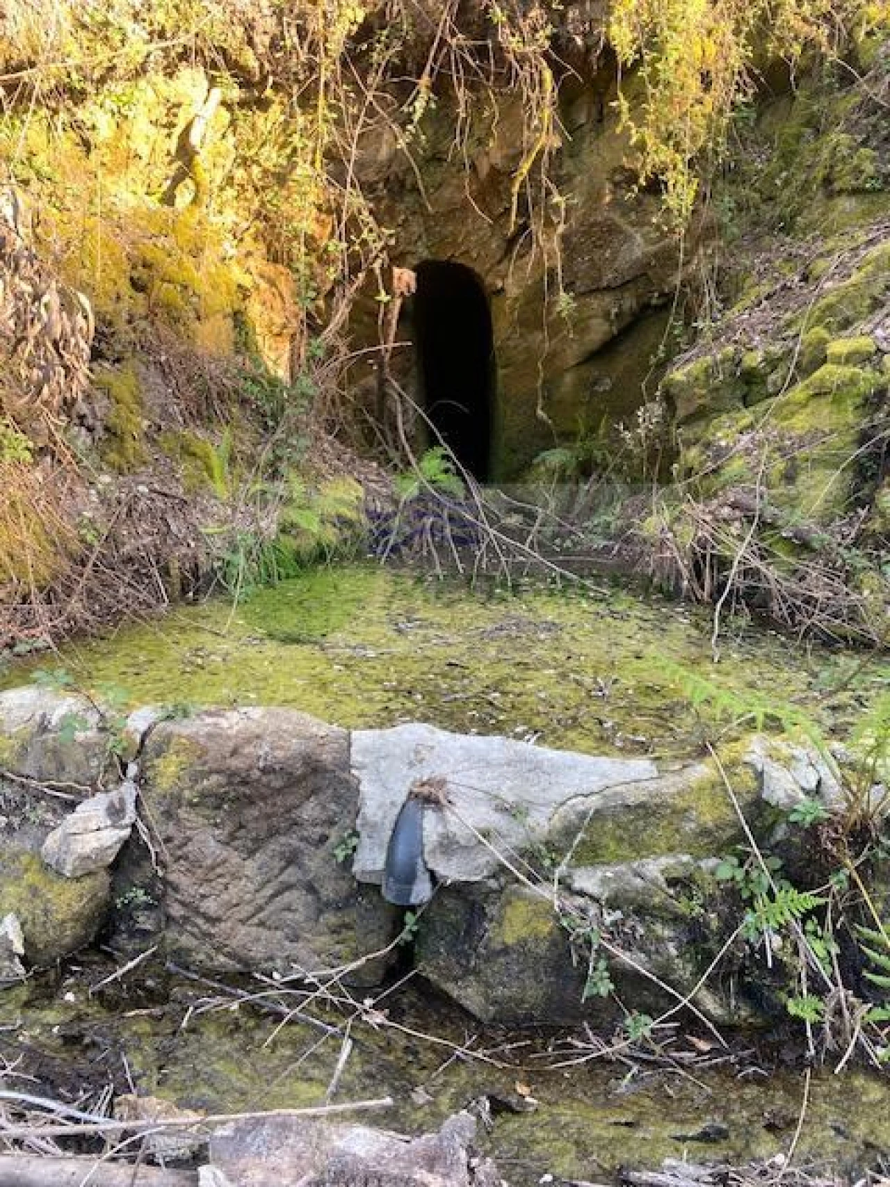 Terreno para Venda em Arcozelo das Maias Foto 15