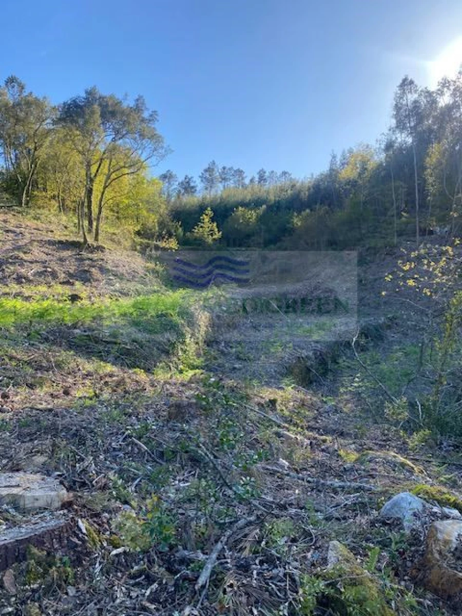 Terreno para Venda em Arcozelo das Maias Foto 10