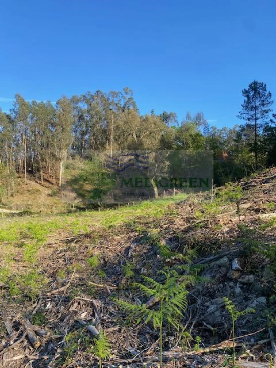 Terreno para Venda em Arcozelo das Maias Foto 16