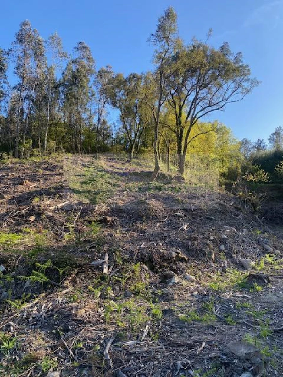Terreno para Venda em Arcozelo das Maias Foto 18