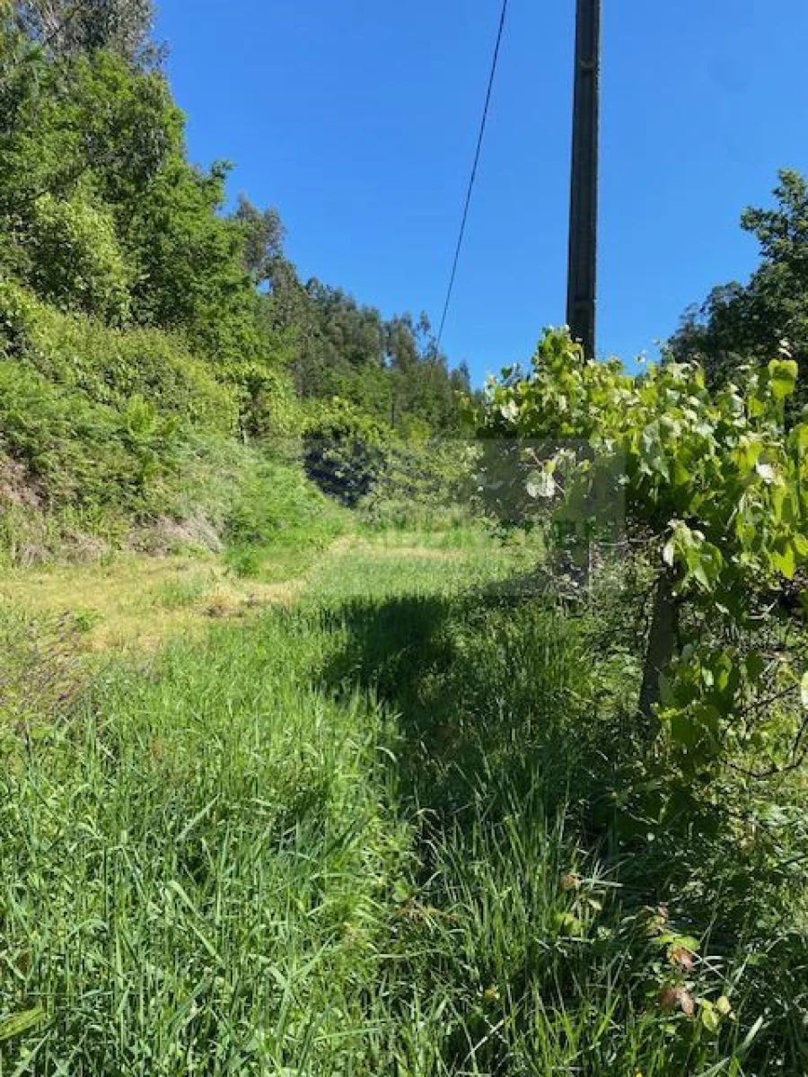 Terreno para Venda em Cedrim e Paradela