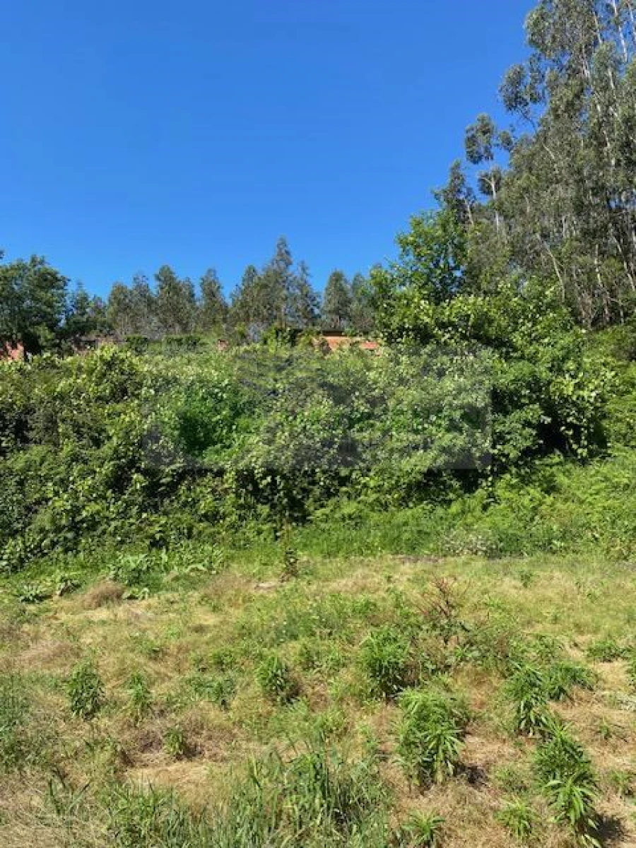 Terreno para Venda em Cedrim e Paradela Foto 2