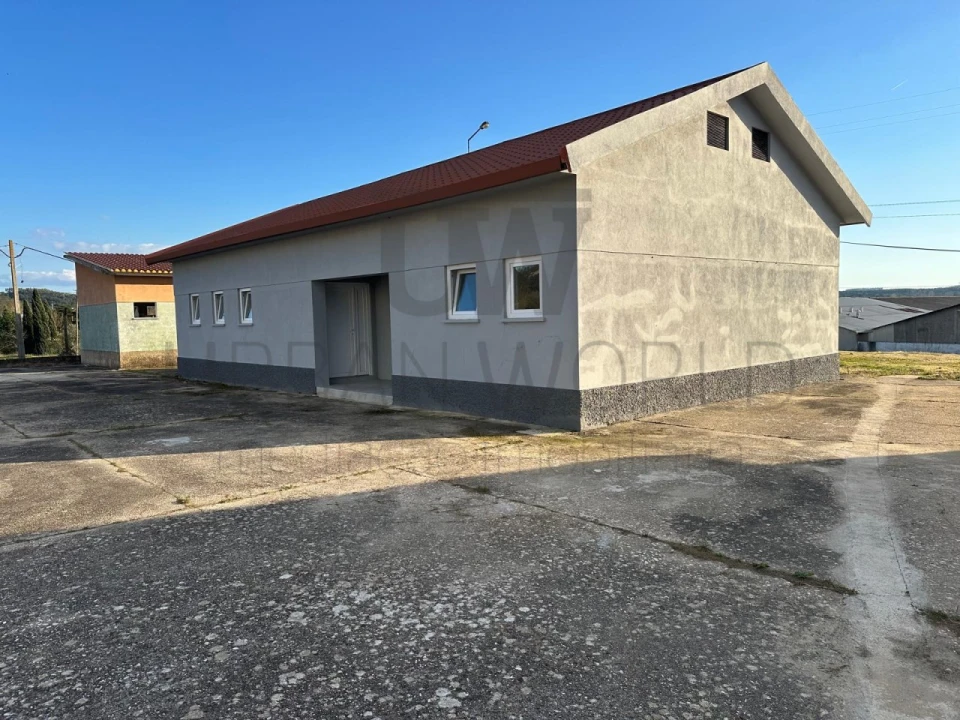 Armazém para Arrendamento em Rio de Moinhos Foto 22