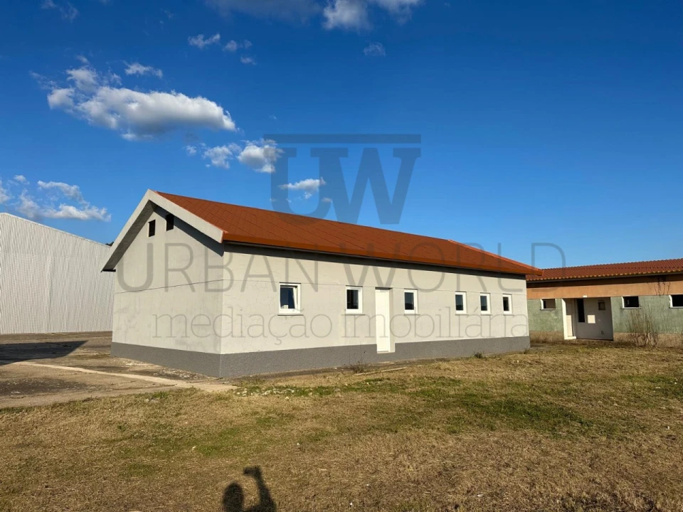 Armazém para Arrendamento em Rio de Moinhos Foto 25