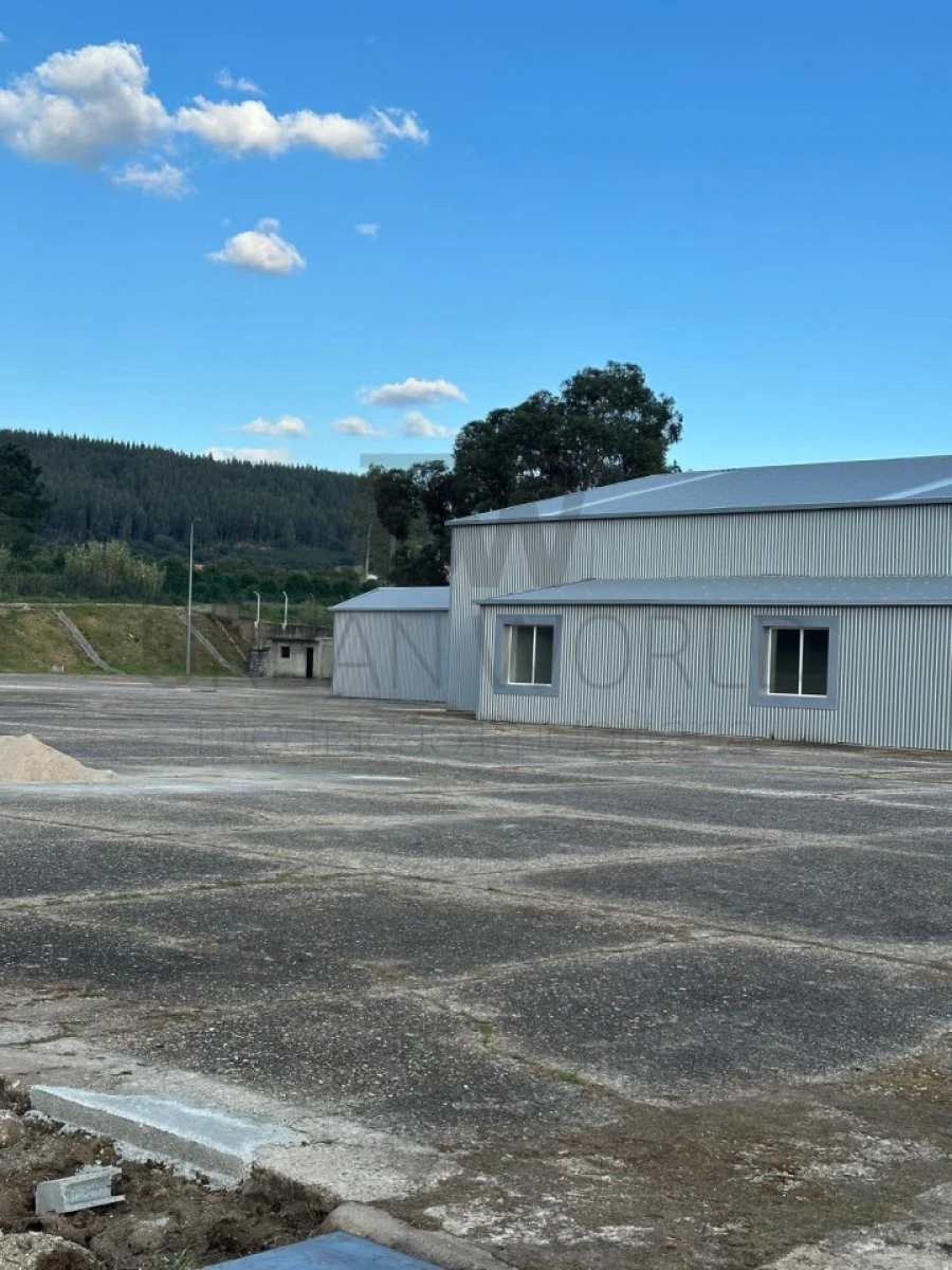 Armazém para Arrendamento em Rio de Moinhos Foto 30