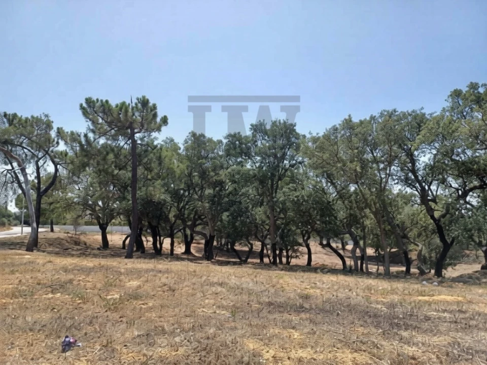 Terreno para Venda em Alvor Foto 4