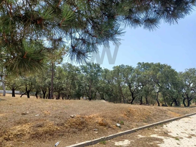 Terreno para Venda em Alvor Foto 3