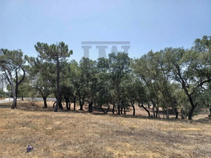 Terreno para Venda em Alvor Foto 4