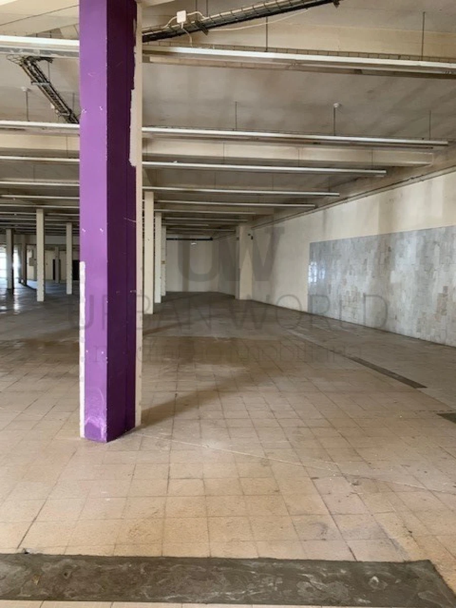 Loja para Venda em Marinha Grande Foto 5