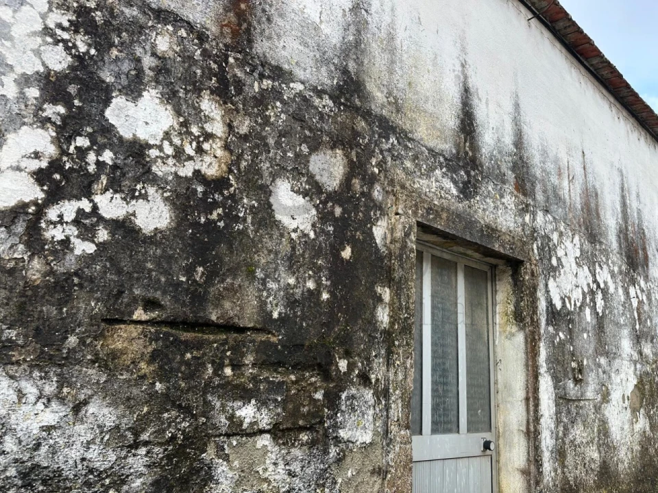 Terreno para Venda em Lousa Foto 2