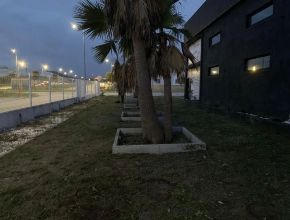 Armazém para Venda em Nossa Senhora da Conceição e São Bartolomeu Foto 13