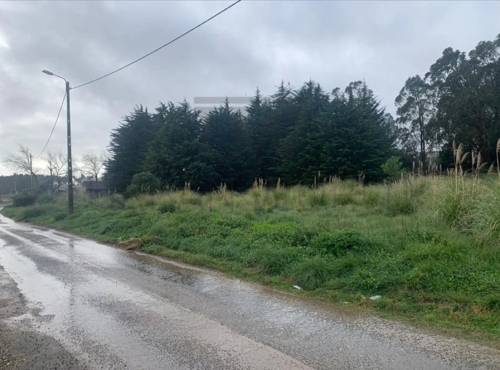 Terreno Agricola ou Rústico para Venda em Santa Maria e São Miguel, São Martinho, São Pedro Penaferrim Foto 1