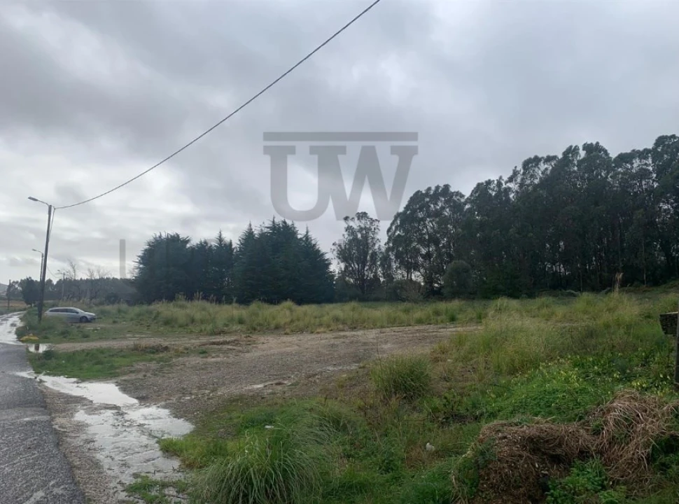Terreno Agricola ou Rústico para Venda em Santa Maria e São Miguel, São Martinho, São Pedro Penaferrim Foto 8