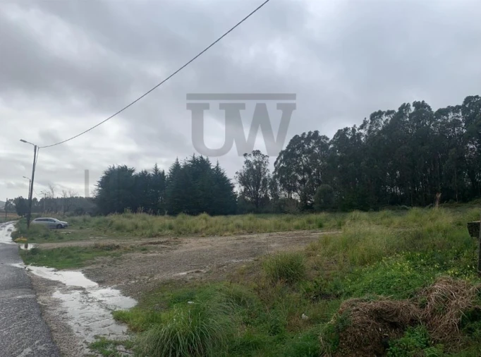 Terreno Agricola ou Rústico para Venda em Santa Maria e São Miguel, São Martinho, São Pedro Penaferrim Foto 8