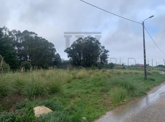 Terreno Agricola ou Rústico para Venda em Santa Maria e São Miguel, São Martinho, São Pedro Penaferrim Foto 9