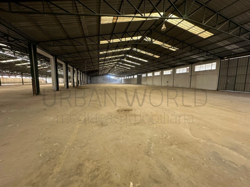 Armazém para Venda em Torres Novas (Santa Maria, Salvador e Santiago) Foto 3