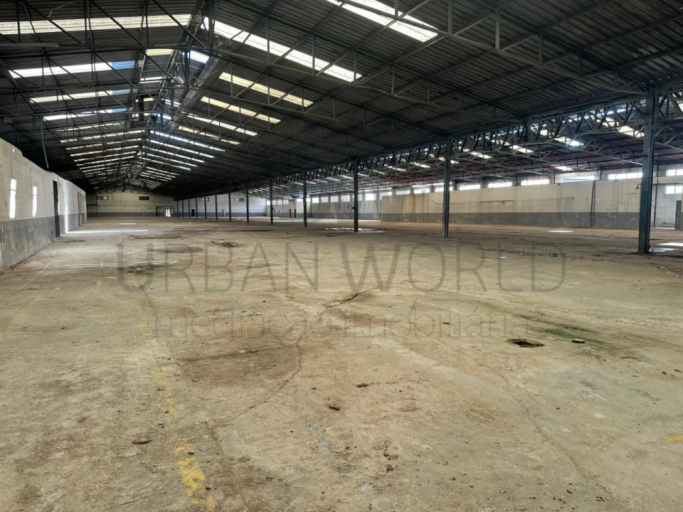 Armazém para Venda em Torres Novas (Santa Maria, Salvador e Santiago) Foto 7