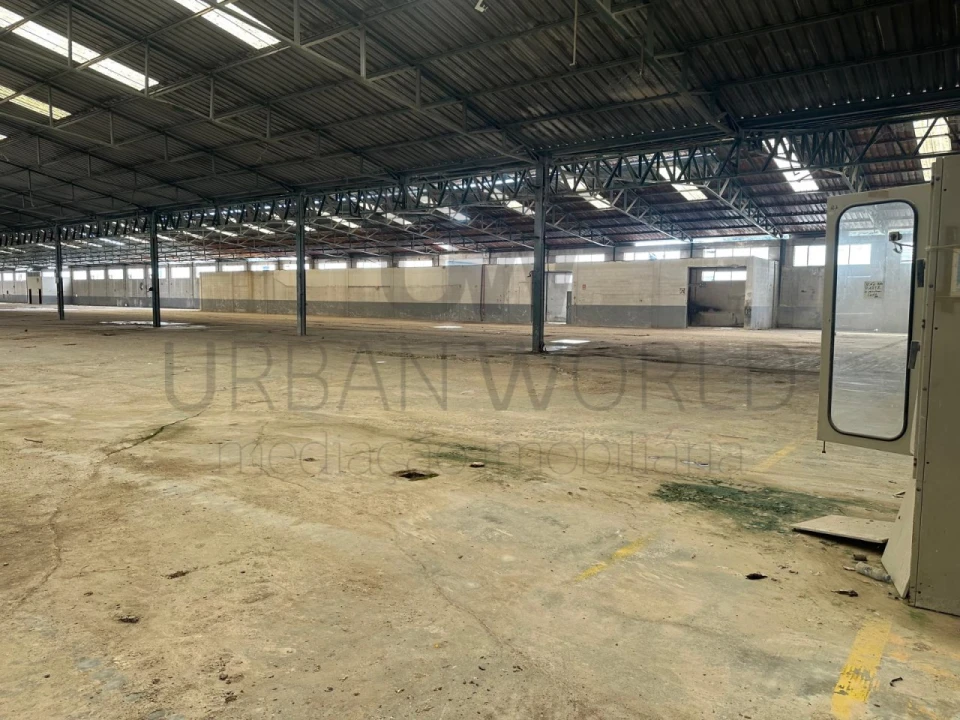 Armazém para Venda em Torres Novas (Santa Maria, Salvador e Santiago) Foto 8