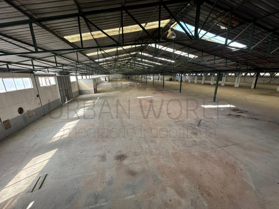 Armazém para Venda em Torres Novas (Santa Maria, Salvador e Santiago) Foto 9