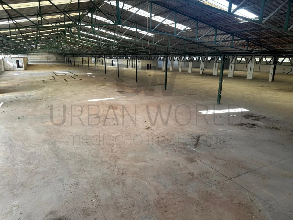 Armazém para Venda em Torres Novas (Santa Maria, Salvador e Santiago) Foto 10