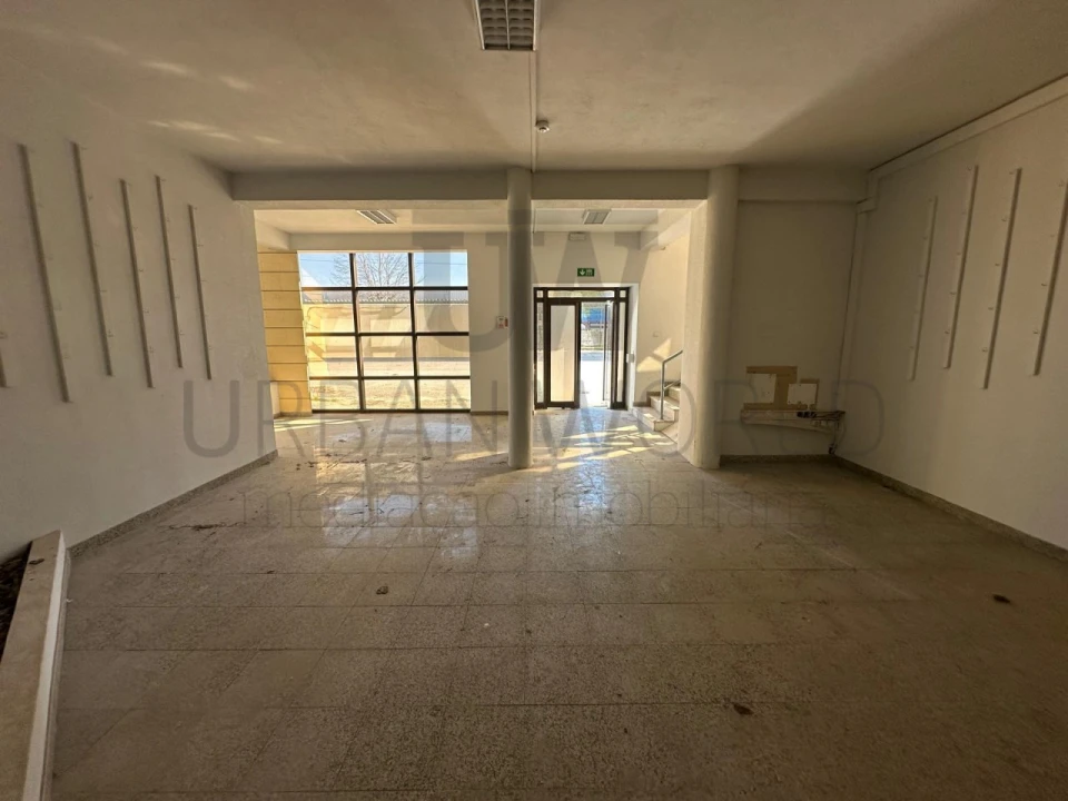 Armazém para Venda em Torres Novas (Santa Maria, Salvador e Santiago) Foto 20