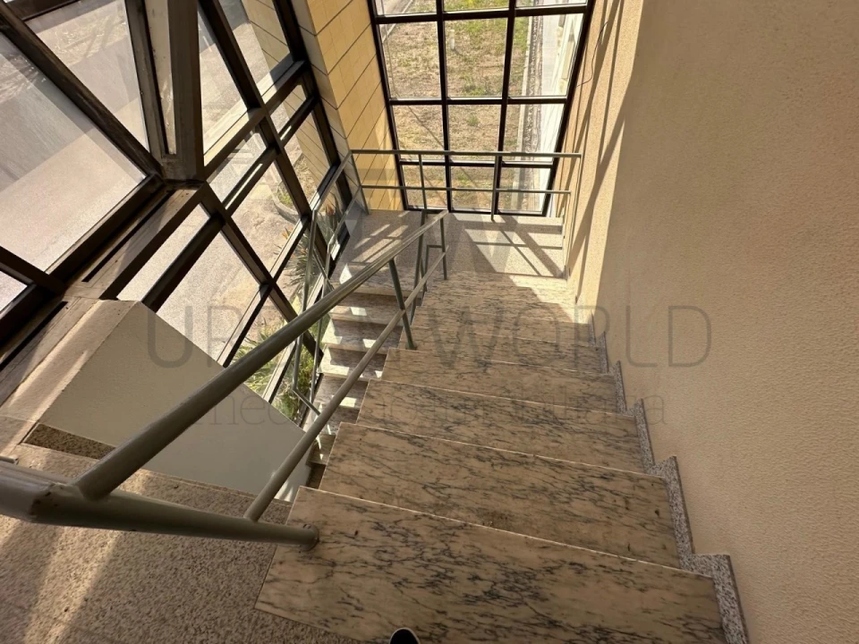 Armazém para Venda em Torres Novas (Santa Maria, Salvador e Santiago) Foto 25