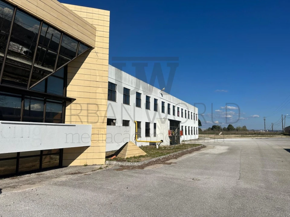 Armazém para Venda em Torres Novas (Santa Maria, Salvador e Santiago) Foto 32