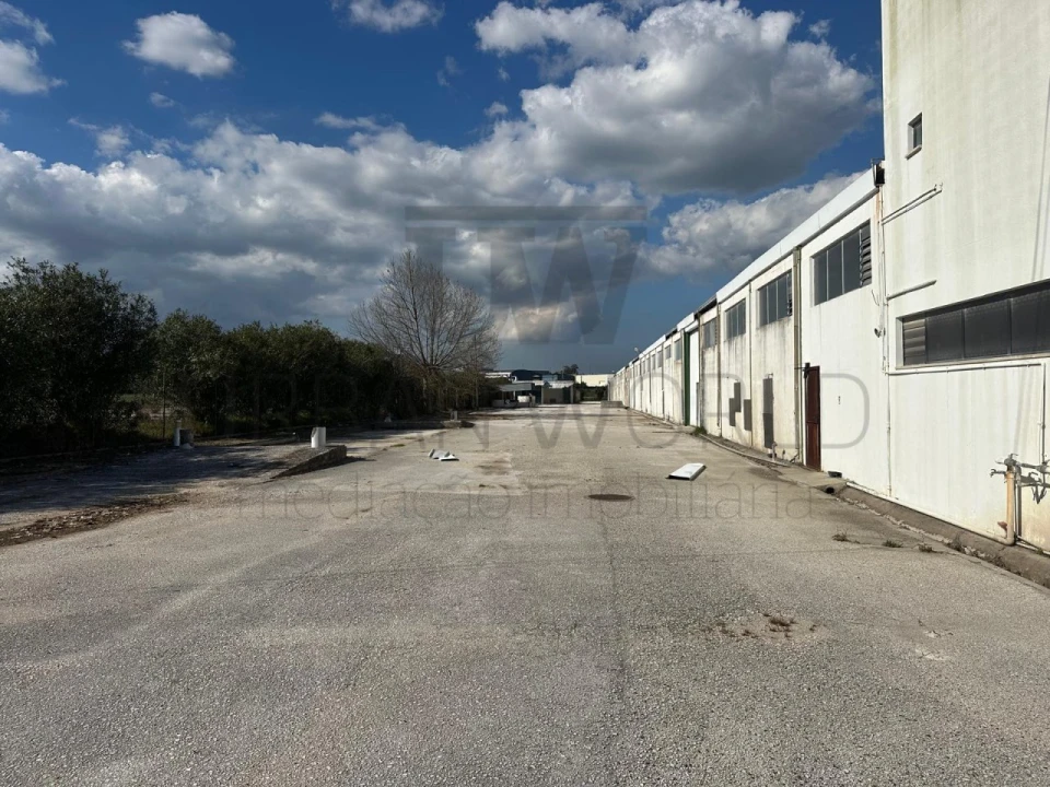 Armazém para Venda em Torres Novas (Santa Maria, Salvador e Santiago) Foto 37