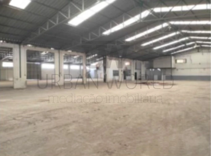 Armazém para Venda em Torres Novas (Santa Maria, Salvador e Santiago) Foto 4