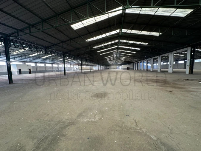 Armazém para Venda em Torres Novas (Santa Maria, Salvador e Santiago) Foto 2