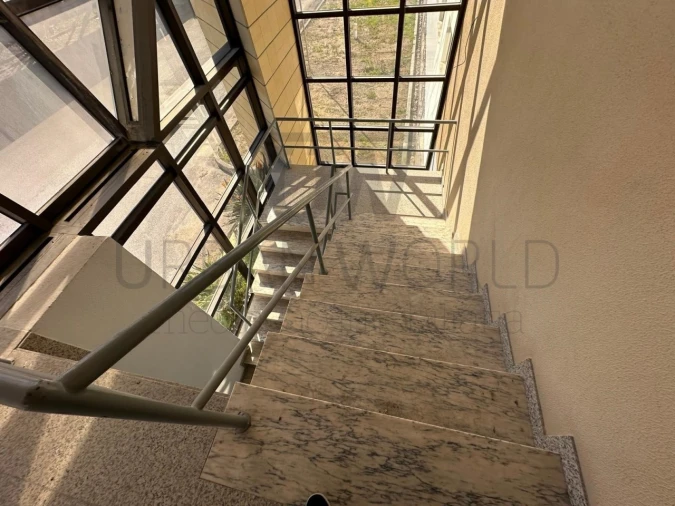 Armazém para Venda em Torres Novas (Santa Maria, Salvador e Santiago) Foto 25