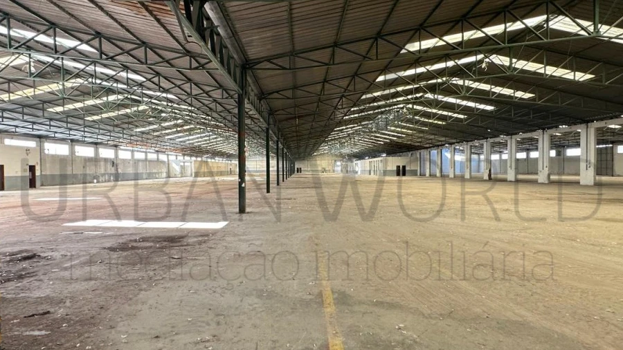 Armazém para Venda em Torres Novas (Santa Maria, Salvador e Santiago)