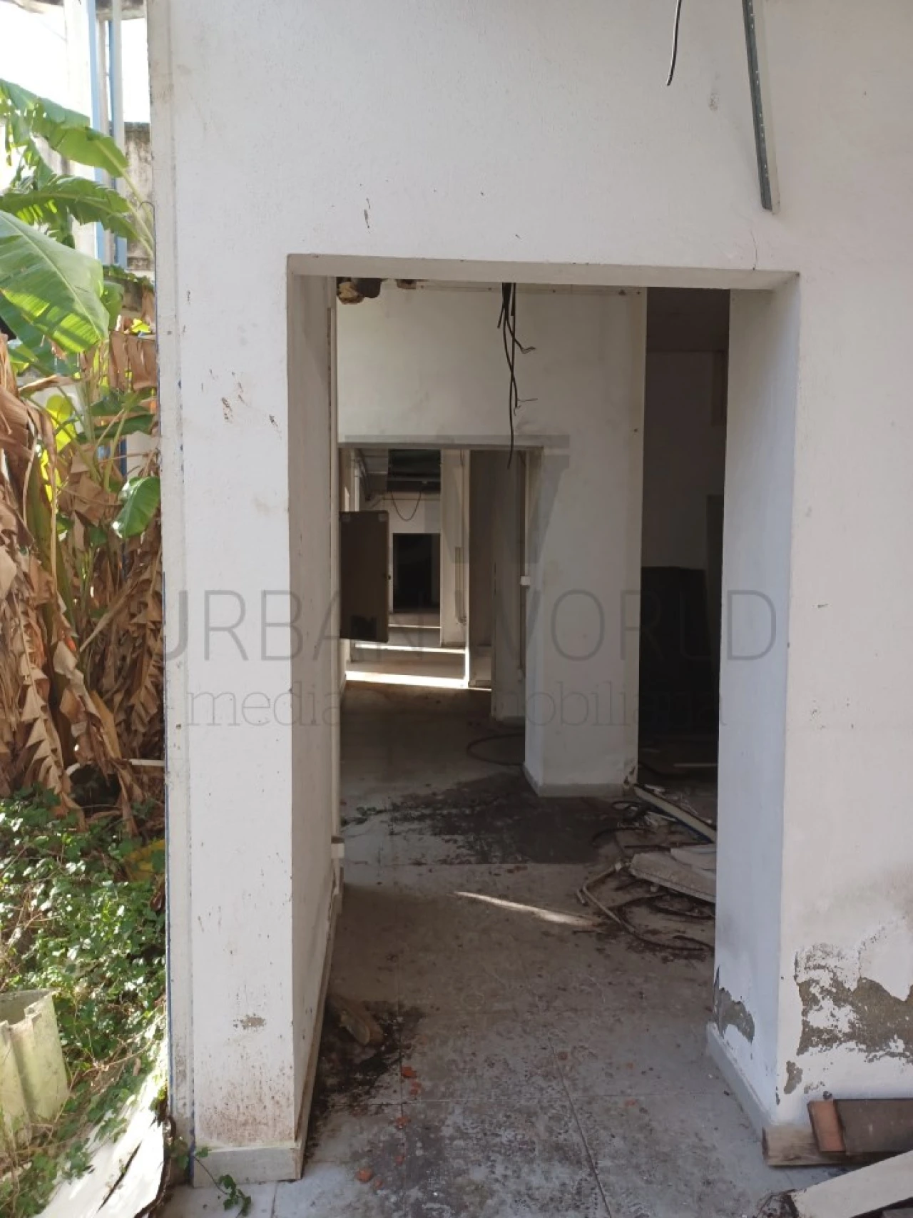 Armazém para Venda em Falagueira-Venda Nova Foto 3