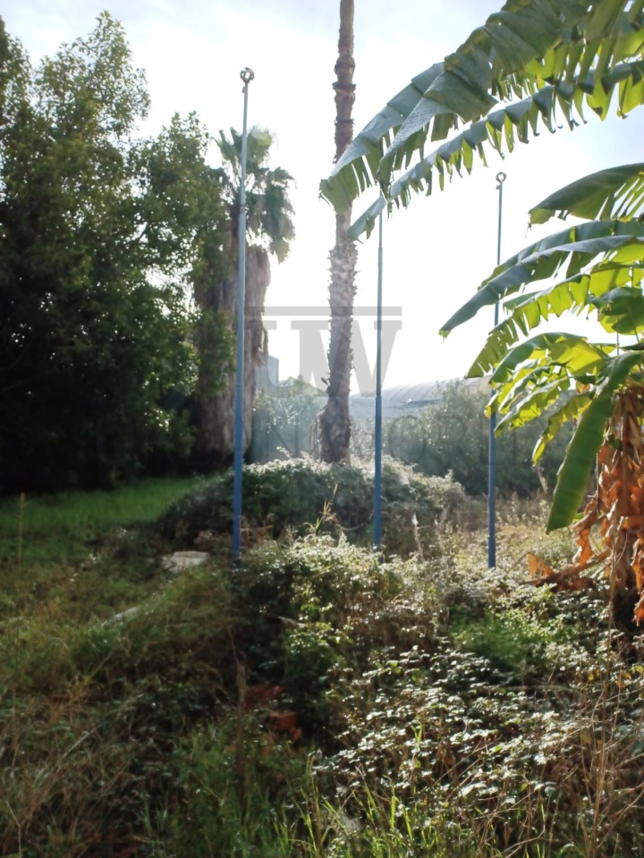 Armazém para Venda em Falagueira-Venda Nova Foto 9