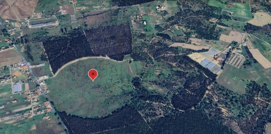 Terreno Comércio / Armazém para Venda em Montijo e Afonsoeiro