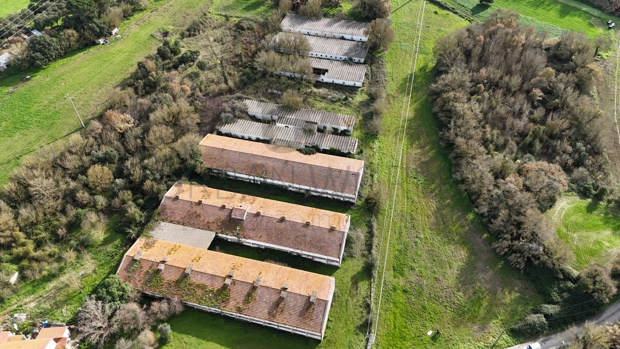 Armazém para Venda em Bucelas Foto 3