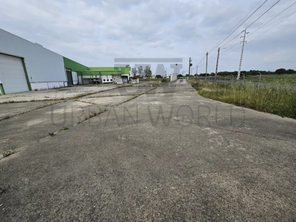 Armazém para Venda em Salvaterra de Magos e Foros de Salvaterra Foto 11