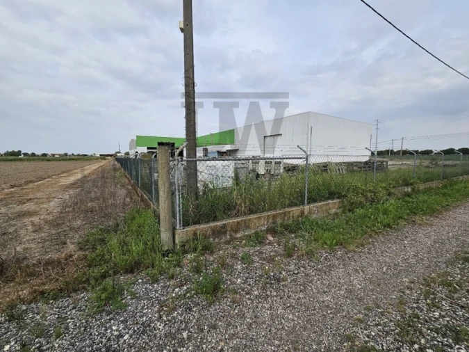 Armazém para Venda em Salvaterra de Magos e Foros de Salvaterra Foto 12